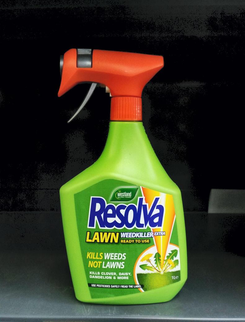 Spoilt for choice Spoilt for choice