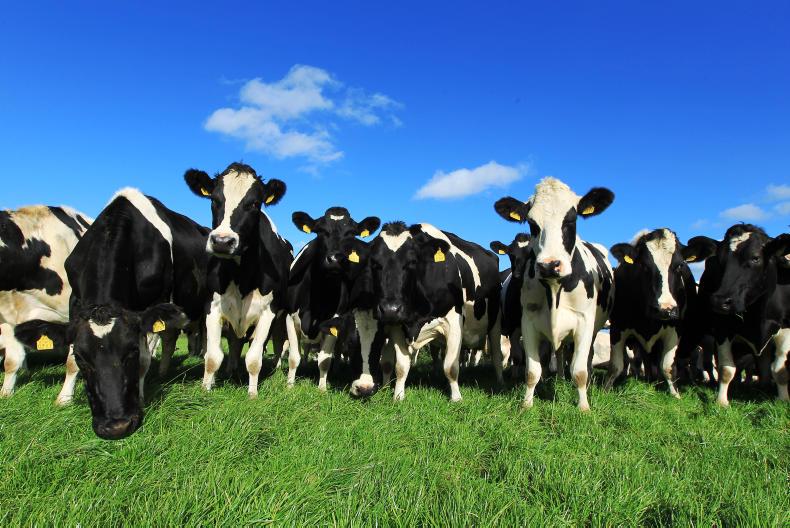 Base milk price must start with a three in 2018 Base milk price must start with a three in 2018