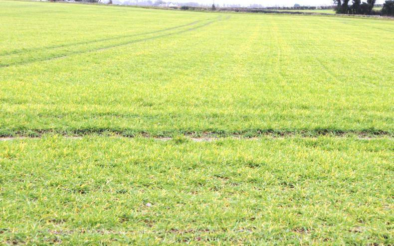 Field conditions delaying essential husbandry