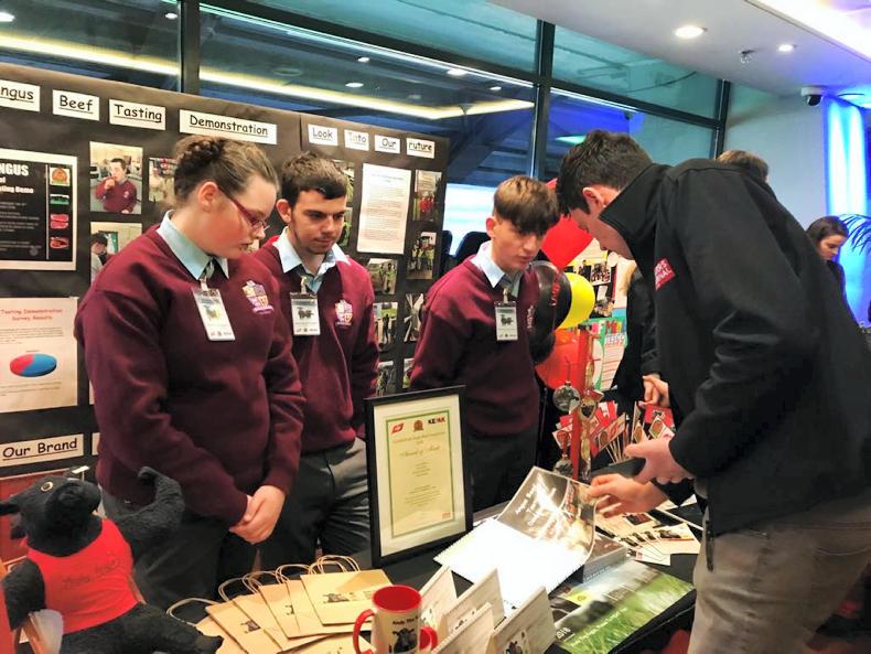 Paving the way towards Croke Park Paving the way towards Croke Park