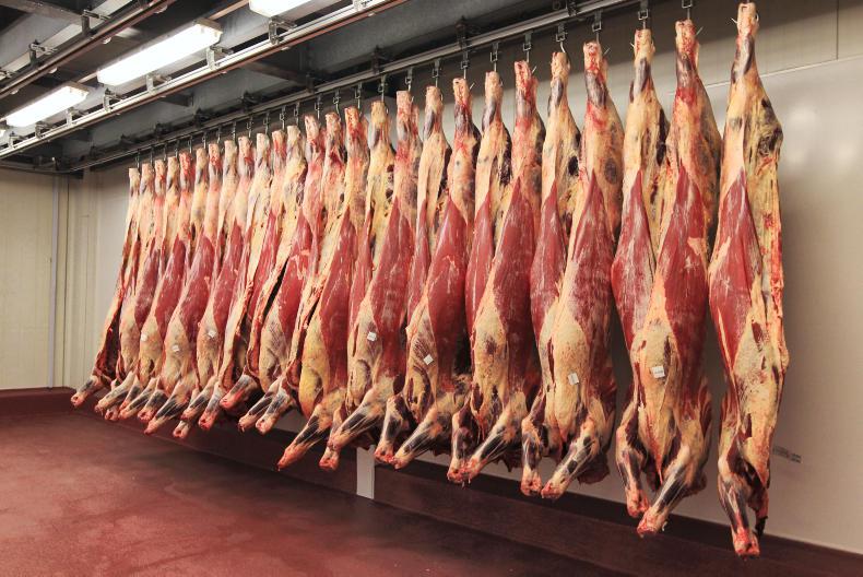 Beef trends update: Prime cattle prices similar to 2017 levels Beef trends update: Prime cattle prices similar to 2017 levels