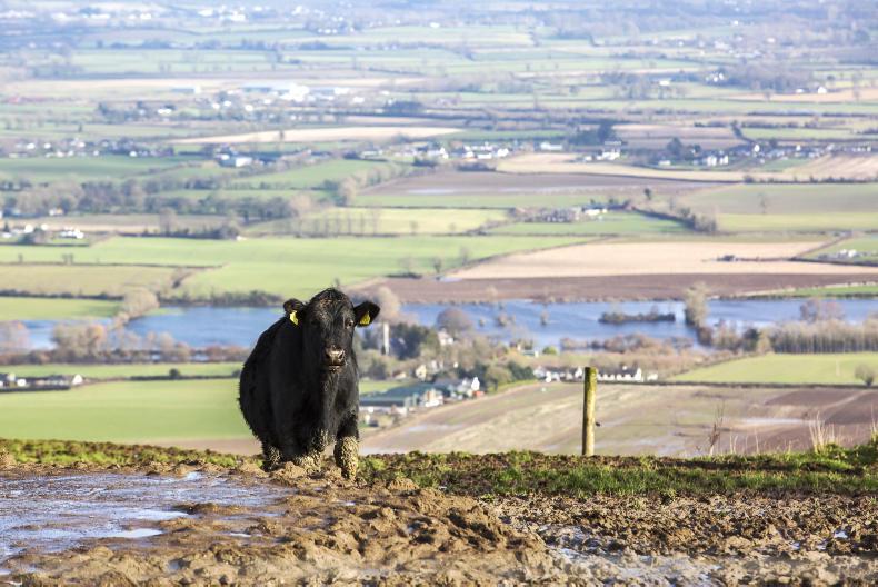 Weekend weather and management notes: unsettled weather ahead Weekend weather and management notes: unsettled weather ahead