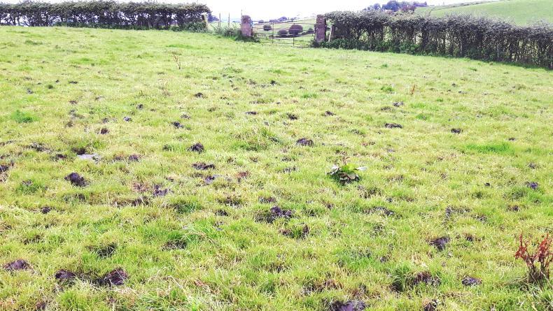 Repairing damaged swards Repairing damaged swards