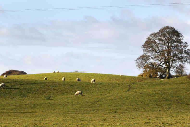 Integrated upland plans needed Integrated upland plans needed