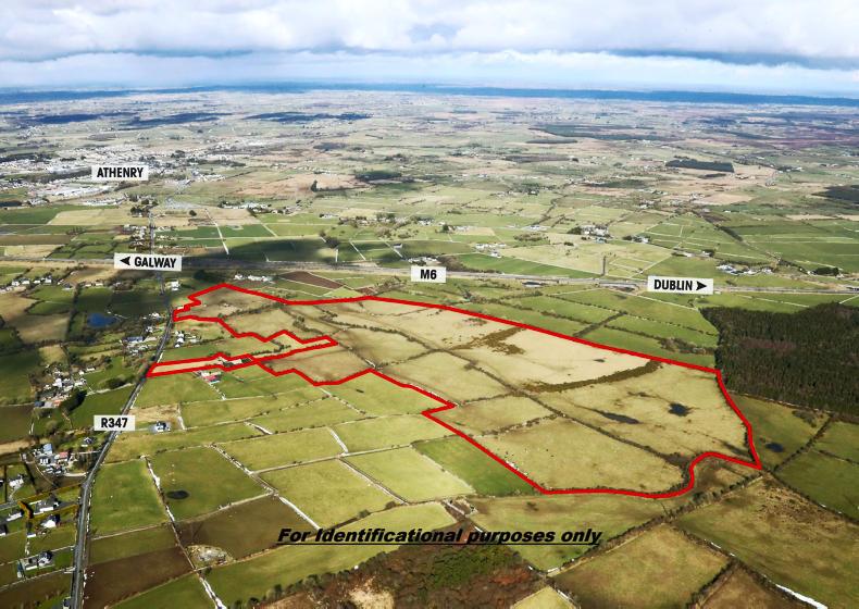 103-acre GAA land for sale at €750,000 103-acre GAA land for sale at €750,000