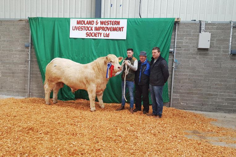 An improved April sale in Carrick An improved April sale in Carrick