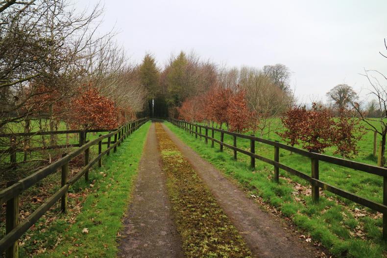 150-acre Tipperary estate gathers momentum 150-acre Tipperary estate gathers momentum