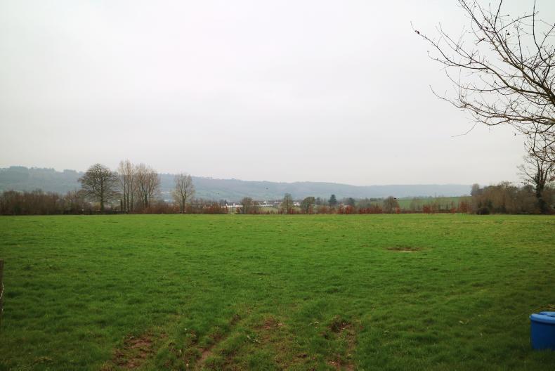 150-acre Tipperary estate gathers momentum 150-acre Tipperary estate gathers momentum