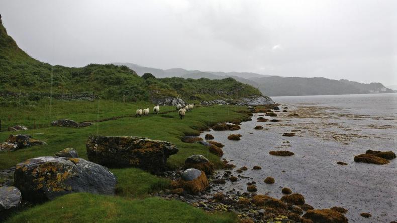 Union plans lack understanding of crofting Union plans lack understanding of crofting