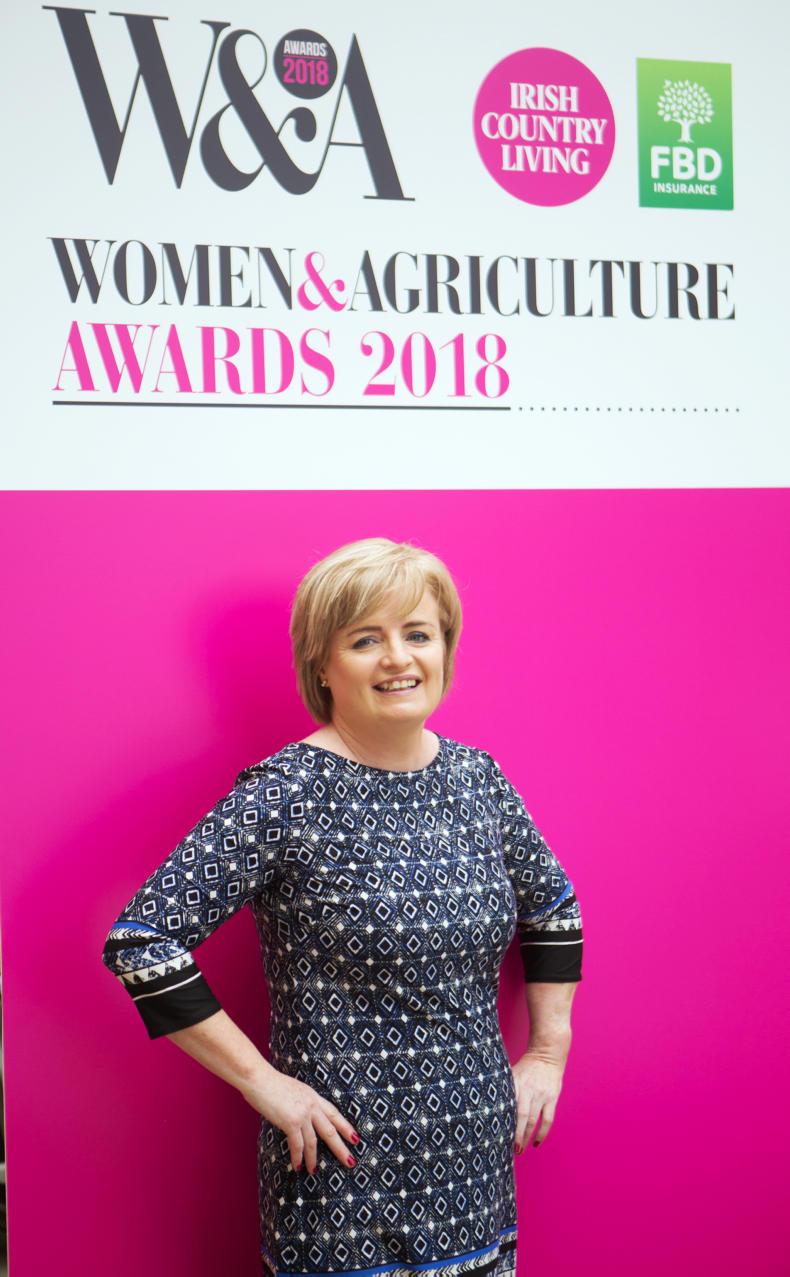 Mollie Moo's Pet Farm scoops first place. Mollie Moo's Pet Farm scoops first place.