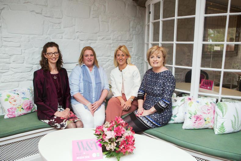 Mollie Moo's Pet Farm scoops first place. Mollie Moo's Pet Farm scoops first place.