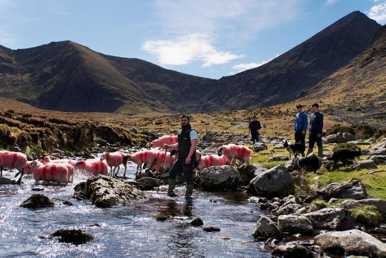 Life in the Reeks Life in the Reeks