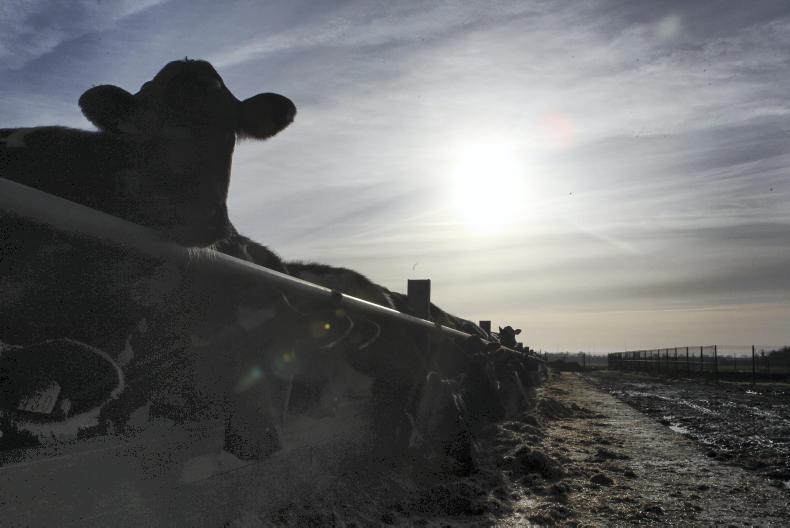Farmers’ health: From the 80s/90s to the Celtic Tiger era Farmers’ health: From the 80s/90s to the Celtic Tiger era
