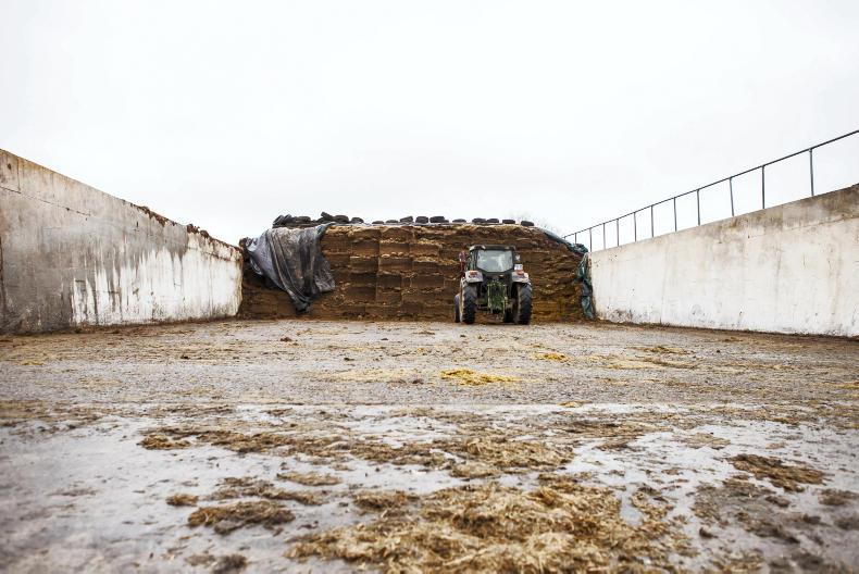 Fodder transport schemes extended - Free