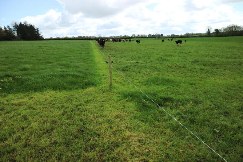 Grazing infrastructure can be a cheap investment Grazing infrastructure can be a cheap investment