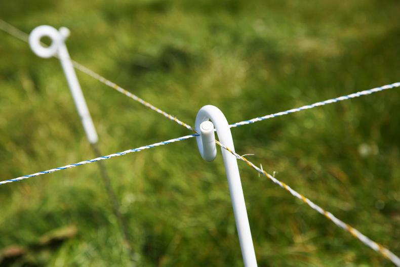 Grazing infrastructure can be a cheap investment Grazing infrastructure can be a cheap investment