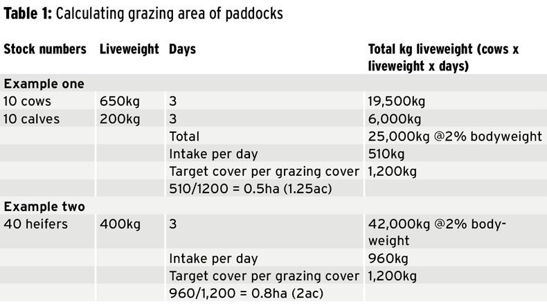 Grazing infrastructure can be a cheap investment Grazing infrastructure can be a cheap investment