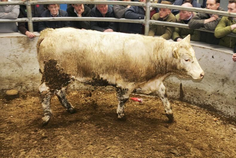 Positive moves in beef trade as prices harden Positive moves in beef trade as prices harden