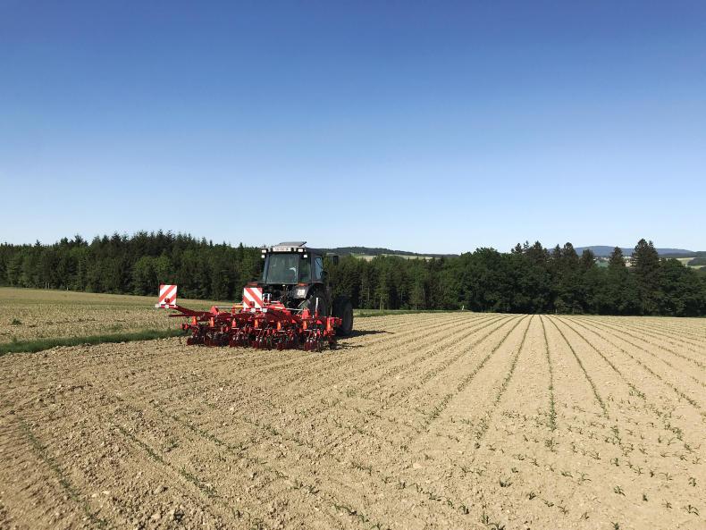 Farmer Writes: weed control on an organic farm in Austria Farmer Writes: weed control on an organic farm in Austria