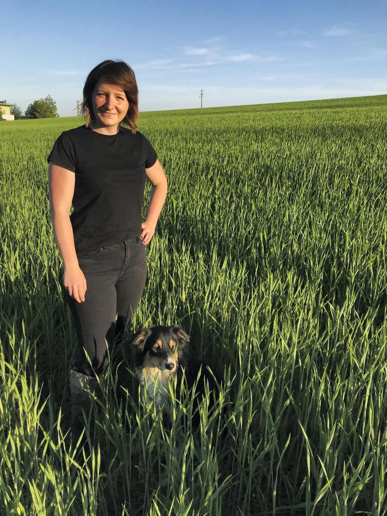 Farmer Writes: weed control on an organic farm in Austria Farmer Writes: weed control on an organic farm in Austria