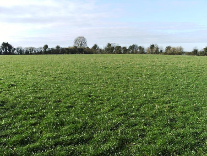 Auction roundup: €18,000/ac in Laois with mixed results elsewhere Auction roundup: €18,000/ac in Laois with mixed results elsewhere
