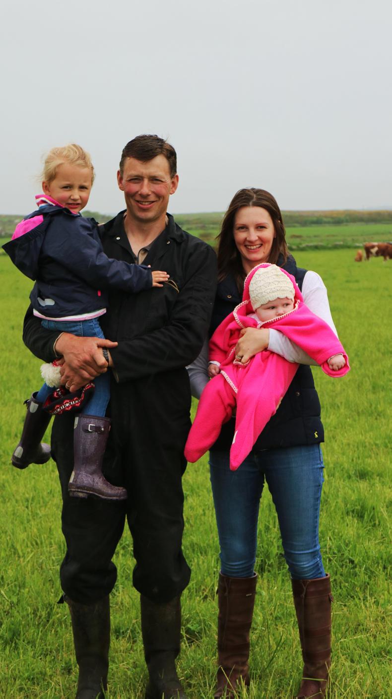 Farm Profit Programme: The going is good at Greenvale Farm Profit Programme: The going is good at Greenvale