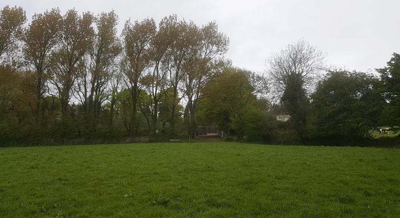 A big farm with bigger potential A big farm with bigger potential