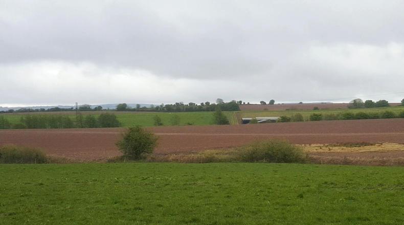 A big farm with bigger potential A big farm with bigger potential