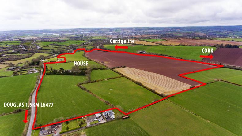 A big farm with bigger potential A big farm with bigger potential