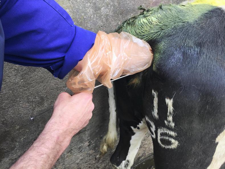 AI costs vary across the country AI costs vary across the country