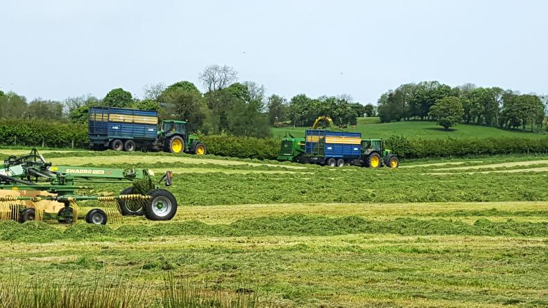 Farmer Writes: growing our way out of a crisis Farmer Writes: growing our way out of a crisis