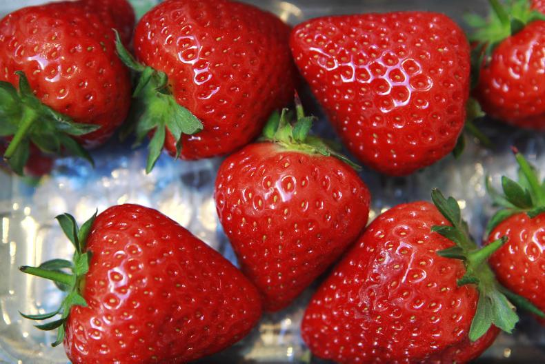 Strawberry sales hit €96m 06 June 2018 Premium