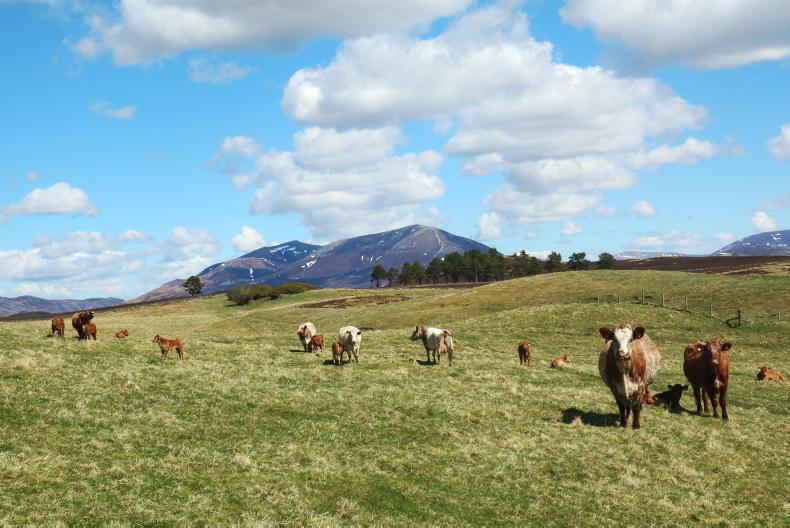 In review: the A to Z of the past year In review: the A to Z of the past year