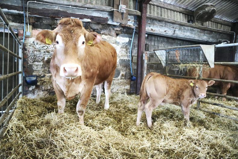 In review: the A to Z of the past year In review: the A to Z of the past year