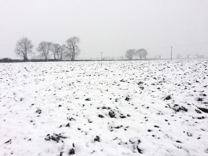 In review: the A to Z of the past year In review: the A to Z of the past year