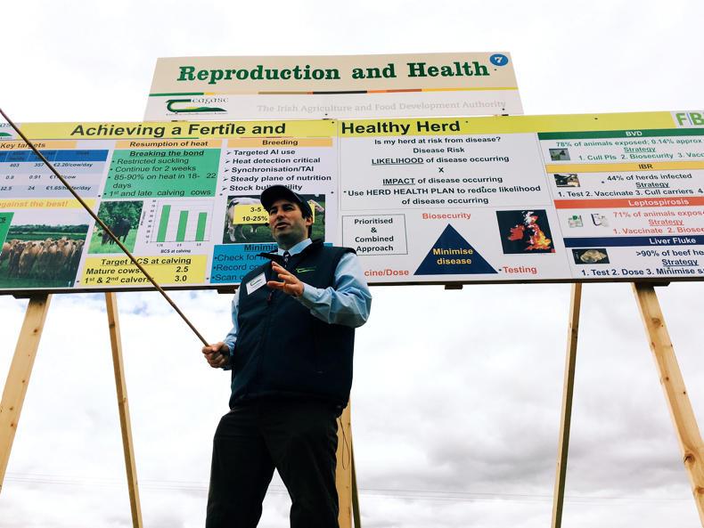 Teagasc welcomes you to BEEF 2018 Teagasc welcomes you to BEEF 2018