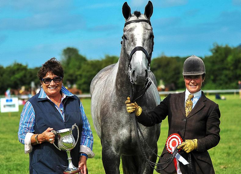 The wisdom of mare selection The wisdom of mare selection