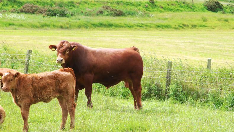 Farm Profit Programme: enjoying the sunshine but hoping for rain Farm Profit Programme: enjoying the sunshine but hoping for rain