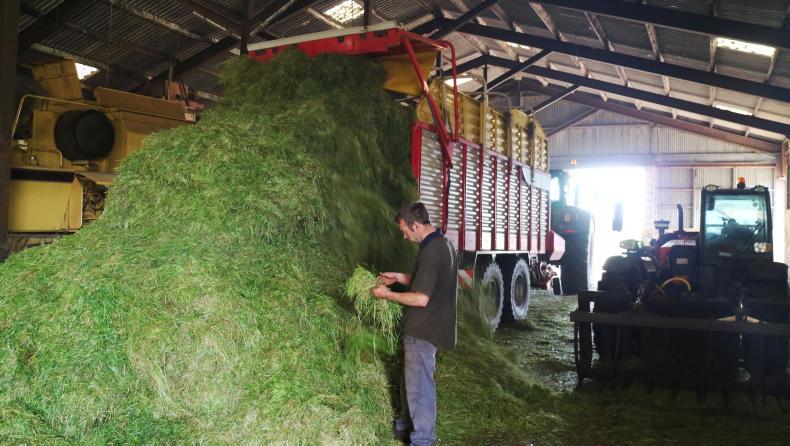 Farm Profit Programme: enjoying the sunshine but hoping for rain Farm Profit Programme: enjoying the sunshine but hoping for rain