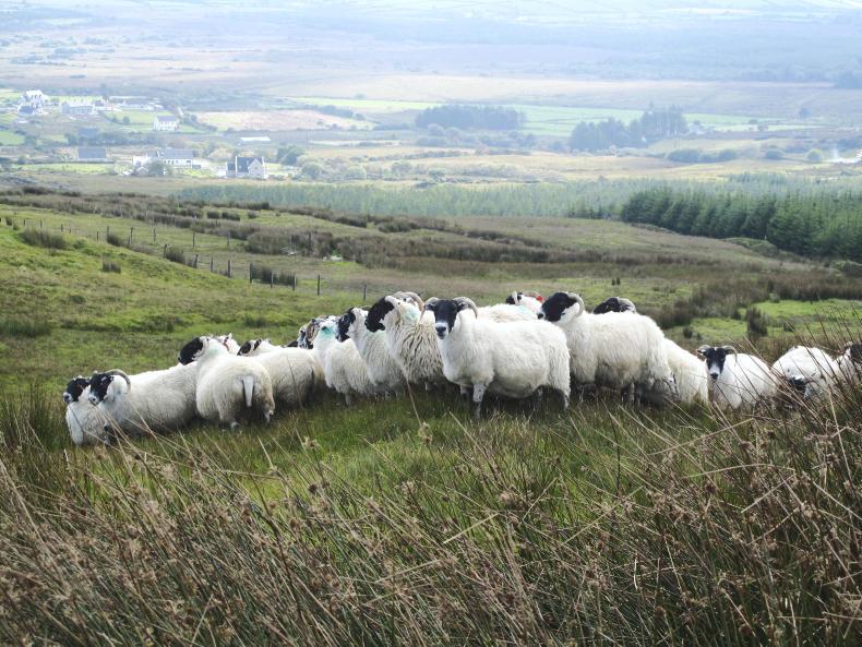 20% cut to LFASS 20% cut to LFASS