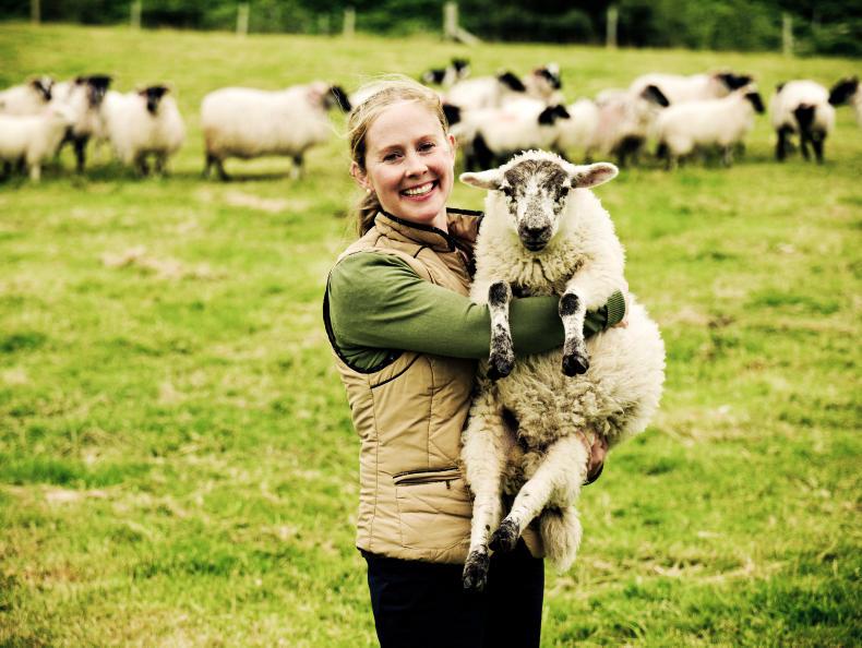Project BAA BAA offers attractions for all the family Project BAA BAA offers attractions for all the family