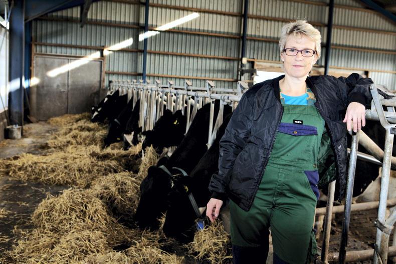 Farmer Writes: drought in Denmark and praying for rain Farmer Writes: drought in Denmark and praying for rain