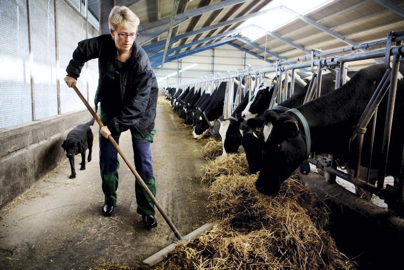 Farmer Writes: drought in Denmark and praying for rain Farmer Writes: drought in Denmark and praying for rain