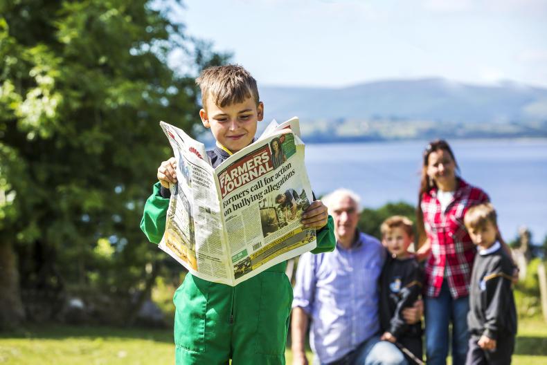 The farmer's daily wrap: heatwave, mart accident and ploughing win The farmer's daily wrap: heatwave, mart accident and ploughing win