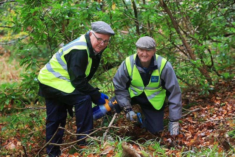 Shed of the week: Killarney Men's Shed Shed of the week: Killarney Men's Shed