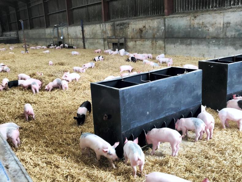 Kevin learns that Scottish Water’s threats are not a mirage Kevin learns that Scottish Water’s threats are not a mirage