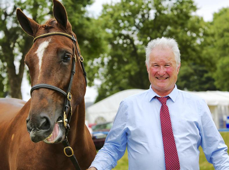 Ava's Delight crowned Irish Draught champion at Longford Ava's Delight crowned Irish Draught champion at Longford