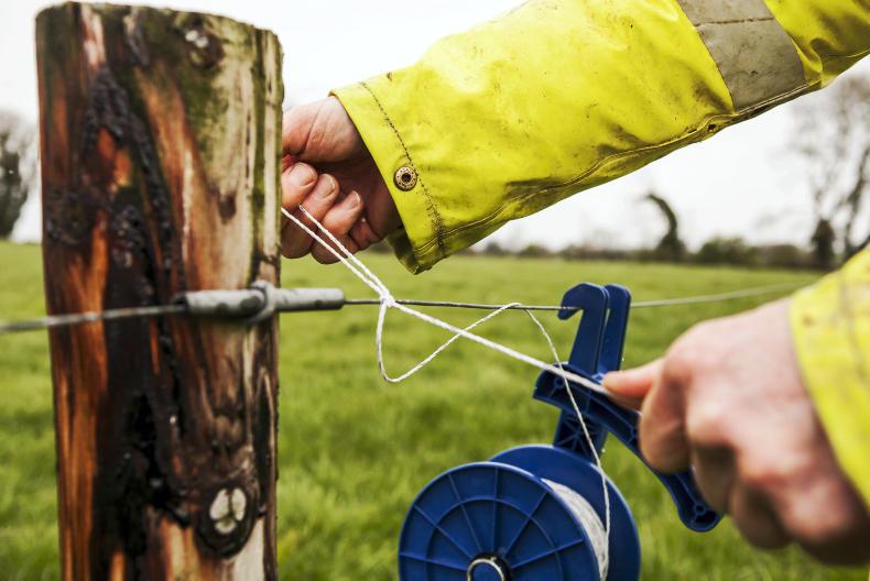 Electricity price increase to cost dairy farmers nearly €400/year