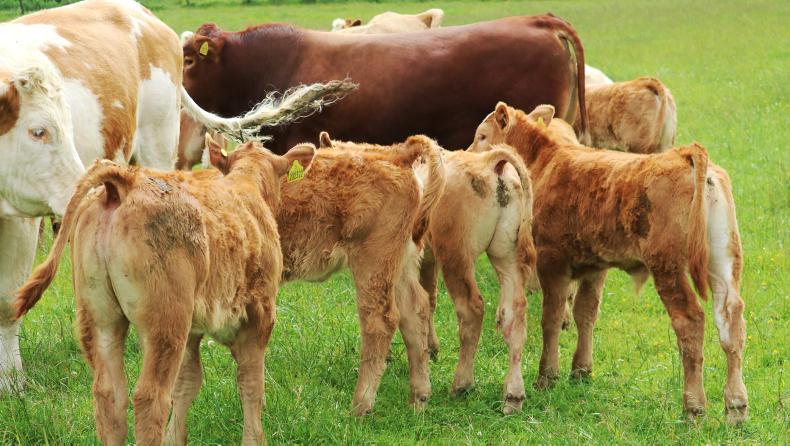 Ten steps to dealing with drought conditions Ten steps to dealing with drought conditions