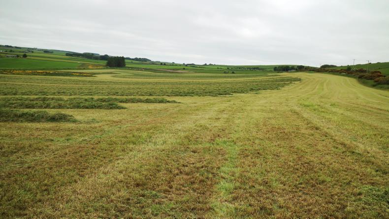 Farm Profit Programme: fodder budget now to address shortages Farm Profit Programme: fodder budget now to address shortages